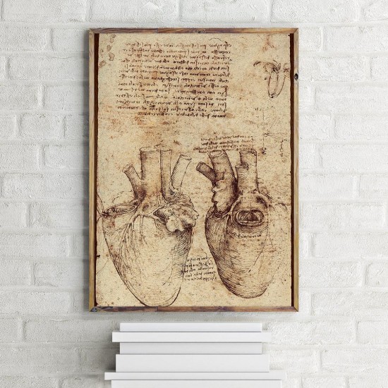 Leonardo Da Vinci'nin Kalbin Anatomisi - Poster