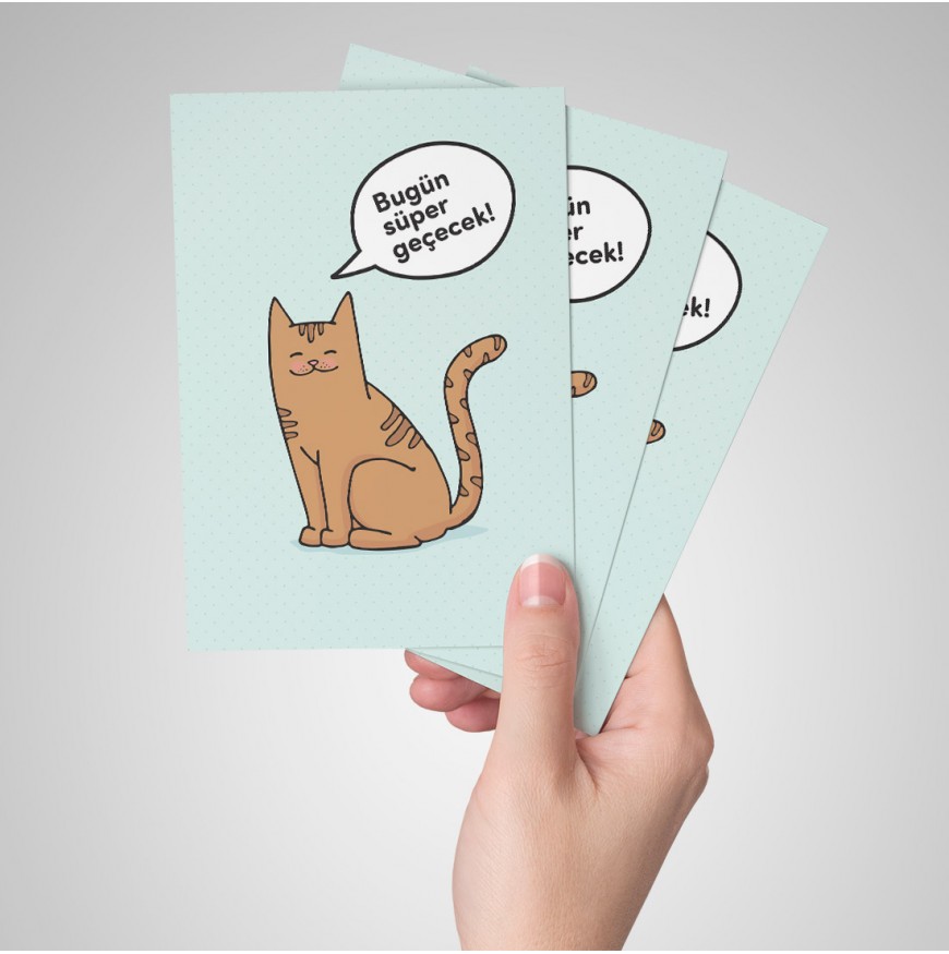 Pozitif kedi - Kartpostal